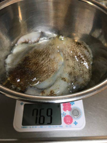 盆休み初日の釣果