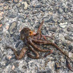 待ちに待った竿下ろし！