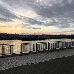 ファミリーフィッシング