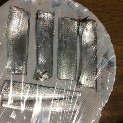 カワハギからの太刀魚