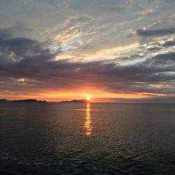 大里松原海岸 ダツゲー94cm