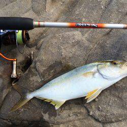 キャンプの合間に魚釣り