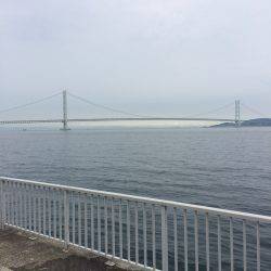 上手い人ほど釣れるケンサキ