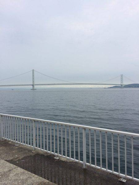 上手い人ほど釣れるケンサキ