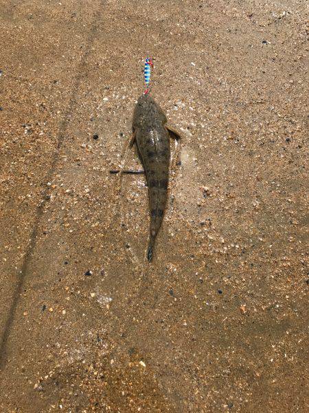 楠サーフDAY下げ