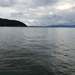 京丹後、伊根アオリランガン新子調査