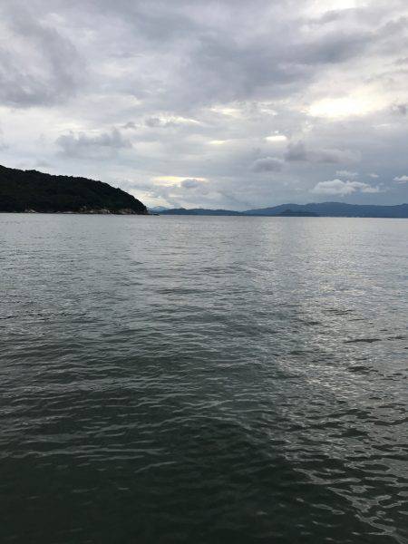 京丹後、伊根アオリランガン新子調査