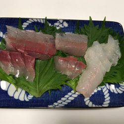 ミツヤ丸 落とし込みサビキ