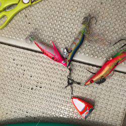 タコ釣り  明石  阪本丸