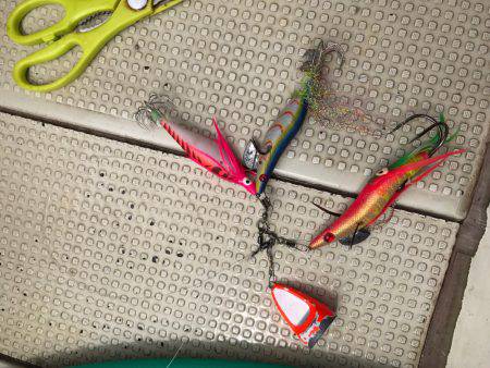 タコ釣り  明石  阪本丸