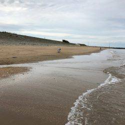 楠サーフ昼から