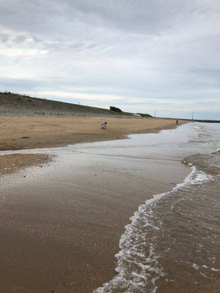 楠サーフ昼から