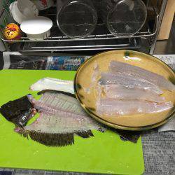 サビキでフラットフィッシュ