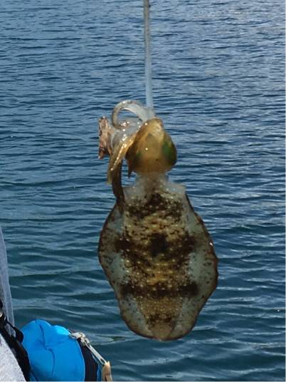 狙った獲物GET！