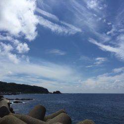 福井嶺北から常神半島までランガン新子調査