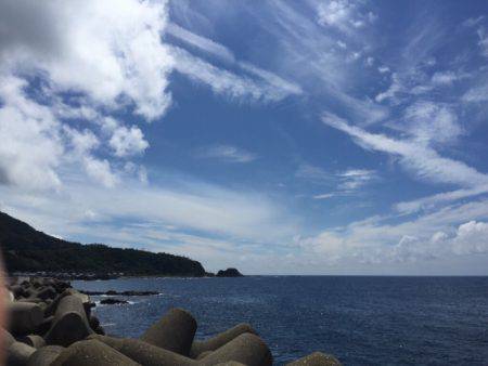 福井嶺北から常神半島までランガン新子調査