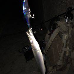 マリーナ大波止