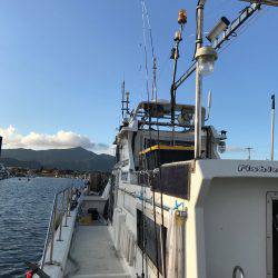 台風明けのイカメタル