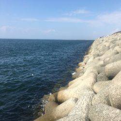 ライトショアジギングでサバ