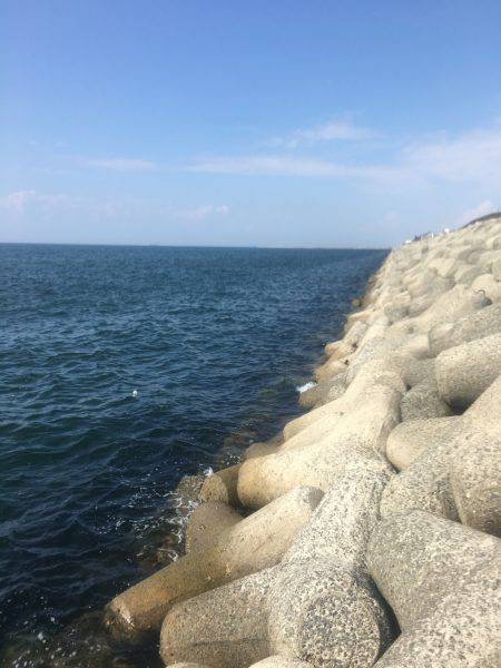 ライトショアジギングでサバ