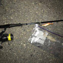 昨日と全然違う