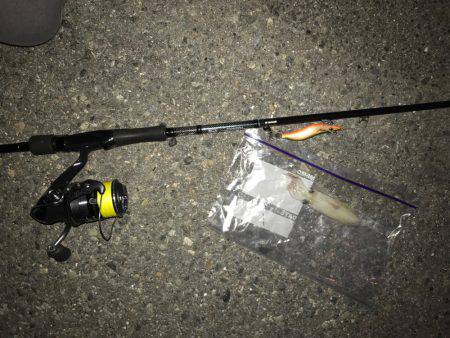 昨日と全然違う