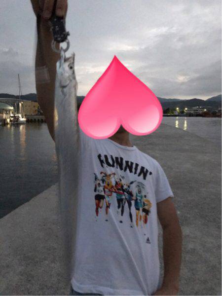 初淡路島でタチウオフィッシュ！津名港