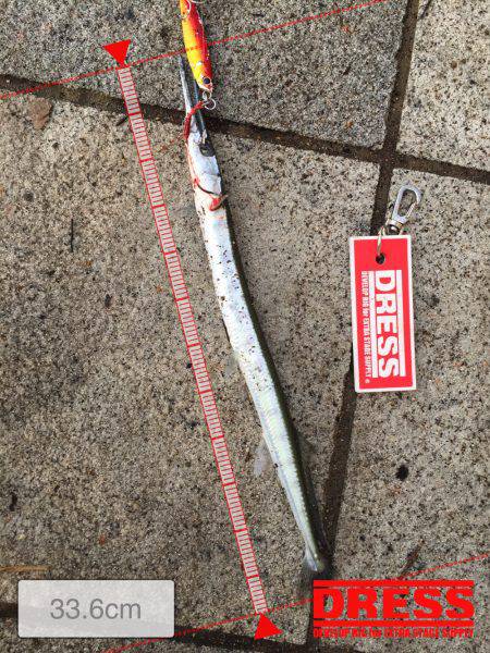 ライトショアジギング