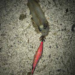 場所移動が正解