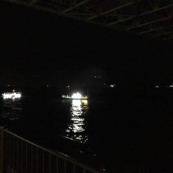 人＞ケンサキイカ