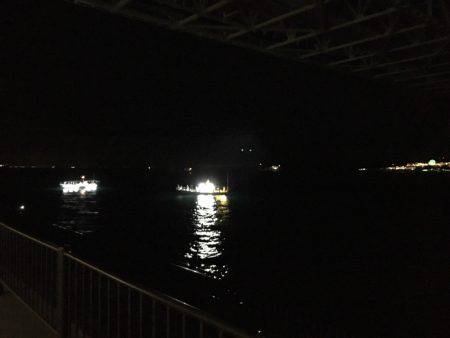 人＞ケンサキイカ