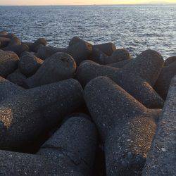 そろそろ終わりかな