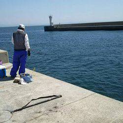 コブダイ釣りだったのに..