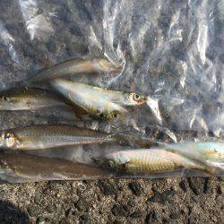 ちょい投げより…