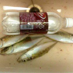 雷神には勝てず