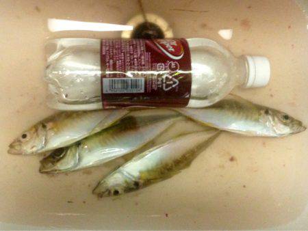 雷神には勝てず