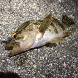 人混みを避ける。