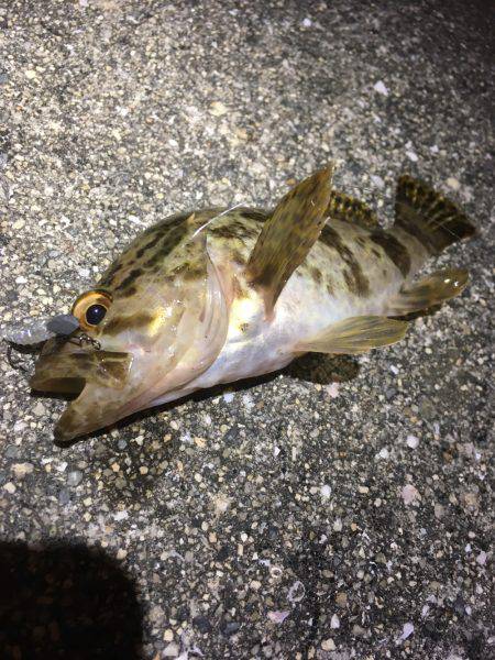 人混みを避ける。