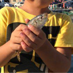 お気軽に五目釣り！