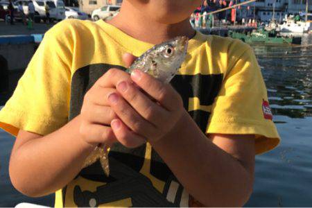 お気軽に五目釣り！