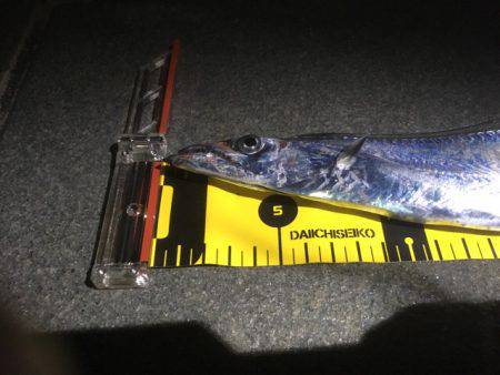 久々の夕マヅメ