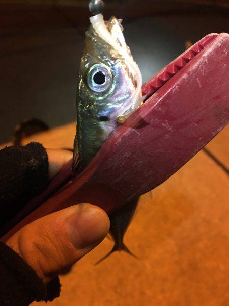 激ムズアジング