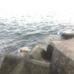 夕まずめ上げ潮釣行