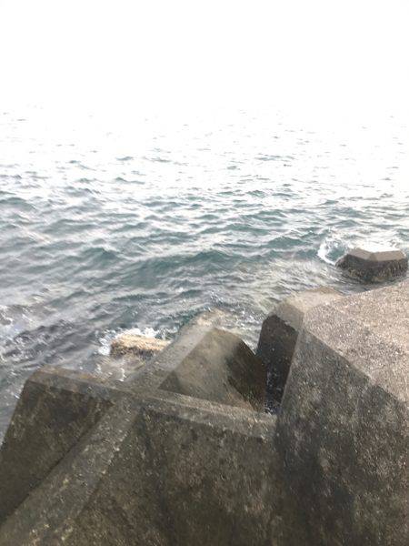 夕まずめ上げ潮釣行