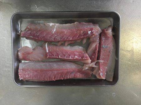 ハマチなりたて⁈