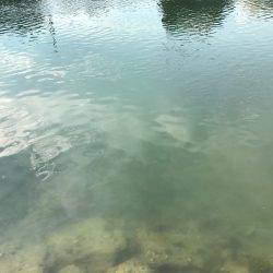 チヌ&タチウオ釣行