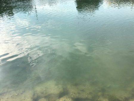 チヌ&タチウオ釣行