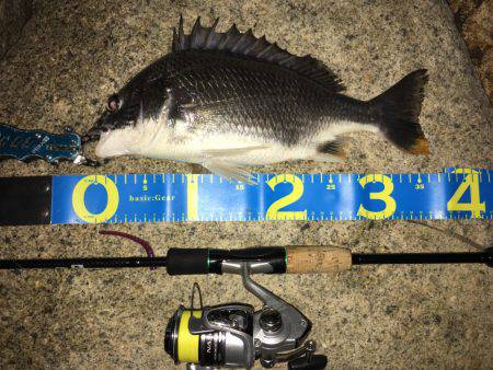 淀川ブリゲー パターン変化