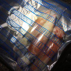 スッテで楽しむ！