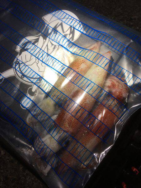 スッテで楽しむ！